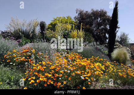 RHS HYDE HALL. Giardino A SECCO Foto Stock