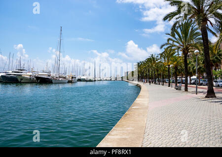 Paseo Maritimo - Palma de Maiorca, isole Baleari, Spagna Foto Stock