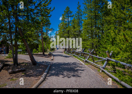 YELLOWSTONE, Montana, USA Giugno 02, 2018: Unidentified gente camminare in un percorso di legno tra i geyser e alberi. Indietro il bacino di Norris Geyser Basin. Parco Nazionale di Yellowstone, Wyoming Foto Stock