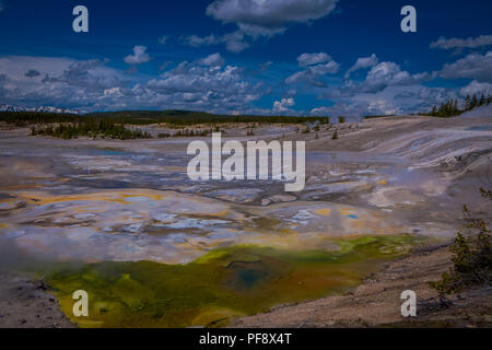 La cottura a vapore opaco piscine termali al Norris Geyser Basin. Parco Nazionale di Yellowstone, Wyoming nel bel cielo azzurro e giornata di sole Foto Stock