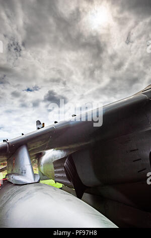 L'Harrier, informalmente definita come l'Harrier Jump Jet, è una famiglia di jet-powered attacco aeromobile in grado di verticale/breve decollo e atterraggio Foto Stock