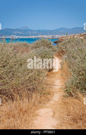 Litoraneo naturale paesaggio estivo con la sporcizia percorso attraverso le erbe a secco e oceano blu cristallo in Palma de Mallorca, Spagna. Foto Stock