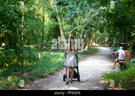 Giorno di estate la PRAM a piedi, giovane donna da torna a piedi con la carrozzina sul marciapiede circondato dal verde forrest, giorno d'estate e rilassanti passeggiate nella natura Foto Stock