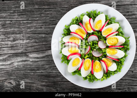 Deliziosa la cipollina, uova, ravanello insalata in un piatto bianco su un vecchio tavolo rustico, orizzontale vista superiore Foto Stock