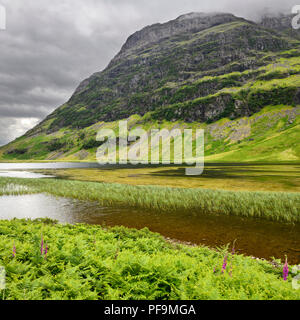 Loch Achtriochtan sul fiume Coe in verde Glen Coe valley con Aonach Dubh delle Tre Sorelle montagne nel cloud Highlands scozzesi Scozia Scotland Foto Stock