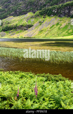 Dettaglio del Loch Achtriochtan sul fiume Coe in verde Glen Coe valley con Aonach Dubh di Bidean nam Bian Highlands scozzesi Scotland Regno Unito Foto Stock