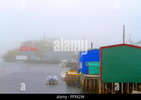 Nebbioso giorno in rosa Blanche porto e la baia di Diamante, Terranova, Canada Foto Stock