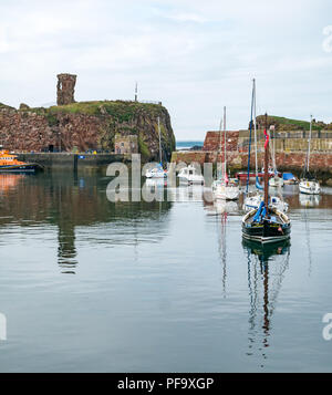 Fising barche nel porto, Dunbar, East Lothian, Scozia, Regno Unito Foto Stock