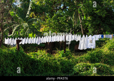 Linea di lavaggio con vestiti di bianco e asciugamani di cotone, panni appesi fuori in giardino verde, rurale di Cuba Foto Stock