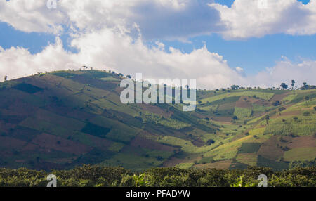 Ripida, patchwork di aziende agricole su una collina in Guatemala Foto Stock