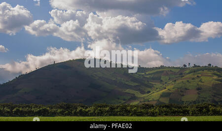 Ripida, patchwork di aziende agricole su una collina in Guatemala Foto Stock