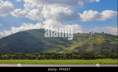 Ripida, patchwork di aziende agricole su una collina in Guatemala Foto Stock