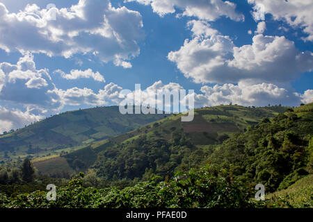 Ripida, patchwork di aziende agricole su una collina in Guatemala Foto Stock