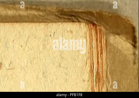 . Des Herrn Abts Vidaure Kurzgefasste geographische, natürliche und bürgerliche Geschichte des Königreichs Cile,. Storia naturale; Indiani Mapuche; Indian linguistica; Imprint 1782. ho89 fjer ge6ratf)t werben; bafjer fuitet ftd) ßpf ein Sftauftfjier auf bcm gan5en 2lrd)fp efagu** SDie $fjiere, woran biefe Snfef ein Ueberfluß fyat, ftnb bte@d)aafe unbSdjweine, womit fte einen großen Jjpanbef trei6en* 3$re infanbifdjen ^fjiete ftnb ©emfen, gtfdjottew, unb eine ©attung fd;guerra$et §ud)fe. @Ie fmb refcl&GT; un wifbem unb jafjmerc gfugefwerf. Unter im toiiim fmb ber (£ague unb Quetfju merfwmbig, £)er Foto Stock