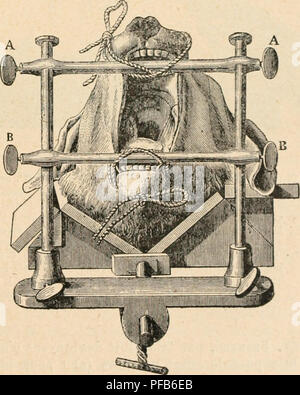 Questo dizionario di fisiologia in lingua francese offre definizioni e spiegazioni complete su argomenti relativi ai processi fisiologici negli esseri umani e negli animali. Copre sistemi come il sistema circolatorio, digestivo e respiratorio, insieme a vari fenomeni fisiologici come la contrazione muscolare, la trasmissione neurale e le funzioni cellulari. Il testo fornisce conoscenze fondamentali per studenti e professionisti in biologia e medicina. Foto Stock