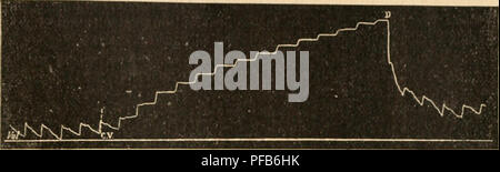 . Dictionnaire de physiologie. Fisiologia. ARTERES. TI7 en moins ronsidi'-rables, ol l;i ruiine ^^Ã¹iiÃ¹rale fare la cuiirbL' i-sl analogico ;Ã¯ colle que l'su obtient dans les expÃ©riences de Makey sur les artih'es dÃ©tacln^es. De mÃªme, si l'on prend la mi&GT;ressiun dans un*' aitore pt''ripliÂ"!!ri(|ije et qu'sulla vienne à la comprinior dans une porlion plus voisine du co'nr, su voit la lOiirbe s'abaisser en prÃ©- senlaul une cuncavili' supÃ©rieure, montrant que io ho fnrre Ã©lasti(iuc diminue fare moins en moins vite. L'Ã©lasticitÃ© artÃ©rielle joue onu rÃ'le importante dans la mÃ©canique circulatoire Foto Stock