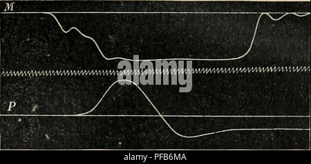 . Dictionnaire de physiologie. Fisiologia. La deglutizione. 749. Frcx. 95. Â Le tracÃ© supÃ©rieur reprÃ©sente la contrazione du groupe mylohyoÃ¯Jien. Le tracÃ© iufÃ¹ricur, celui de la muscolatura pharyngÃ©e aprÃ¨s l'eccitazione du laryngÃ©. La ligne ondulÃ©e intermÃ©diaire in- dique le centiÃ¨ITU* de seconde. DurÃ©e ^ 0,08 seconde environ. Nazioni Unite lapin fut IrucliÃ©ototnisÃ©, et dans la partie antÃ©rieui"o de l'Åsopiia^e su introduisit l'une des extrÃ©mitÃ©s et la branche horizontale d'onu en tubo X, l'ouverture symÃ©trique restant libre, et la branche horizontale, impaire, Ã©tait mise en communication au Foto Stock