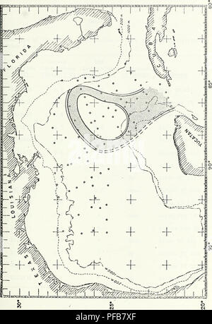 . Una descrizione delle caratteristiche fisiche caratteristiche oceanografiche della parte orientale del Golfo del Messico, Agosto 1968.. Oceanografia. 73. Si prega di notare che queste immagini vengono estratte dalla pagina sottoposta a scansione di immagini che possono essere state migliorate digitalmente per la leggibilità - Colorazione e aspetto di queste illustrazioni potrebbero non perfettamente assomigliano al lavoro originale. Schneider, Michael John. Texas A Foto Stock