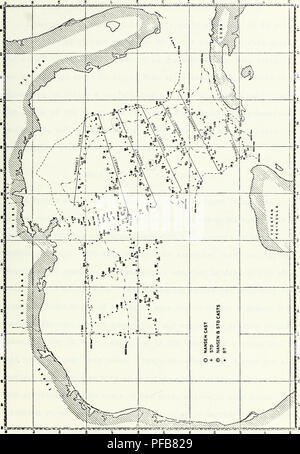 . Una descrizione delle caratteristiche fisiche caratteristiche oceanografiche della parte orientale del Golfo del Messico, Agosto 1968.. Oceanografia. . Si prega di notare che queste immagini vengono estratte dalla pagina sottoposta a scansione di immagini che possono essere state migliorate digitalmente per la leggibilità - Colorazione e aspetto di queste illustrazioni potrebbero non perfettamente assomigliano al lavoro originale. Schneider, Michael John. Texas A Foto Stock