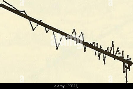 . Descrizione, analisi e previsioni del mare piano rugosità utilizzando modelli spettrali. Fondo dell'oceano; geologia sottomarini. 10' , B 63 127 190 254 317 381 444 508 571 634 698 761 g' DATI CUMULATIVI punti % DOWNTRACK UJ I- Z 10^ 10- 10= 10' ^10° • UJ o un! 10" 10-. 10-3 10-2 10-' 10° NORAAALIZED FREQUENZA (cicli/INTERVALLO DI DATI) 10' Figura 4-9 profilo e lo spettro di ampiezza del Sass dati raccolti lungo la linea B-B' nella Figura 4-7. 38. Si prega di notare che queste immagini vengono estratte dalla pagina sottoposta a scansione di immagini che possono essere state migliorate digitalmente per la leggibilità - Colorazione e aspetto di questi illustr Foto Stock