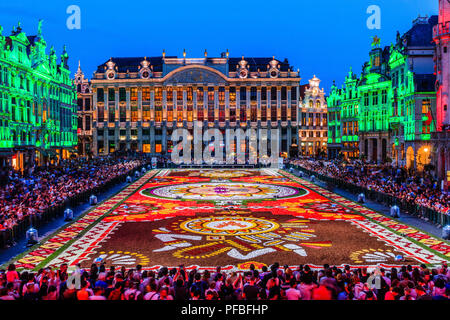 Bruxelles, Belgio - 16 agosto 2018: Grand Place di notte durante il tappeto di fiori Festival. Foto Stock