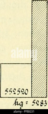 . Der Tropenpflanzer; zeitschrift fr tropische landwirtschaft. Piante tropicali; raccolti tropicali. 6^= H110h%. 5ui1% Jahren eine entsprechende Produktionssteigerung aufweisen." Diese Steigerung ist inzwischen in ausgedehntem masse erfolgt. Denn Wie die mir Deutsch-Koloniale Gerbstoffgesellschaft am 24. Juni 1912 mitteilte, beträgt ihre jährliche Produktion jetzt etwa 2 500 000 kg Mangrovenrinde. Danach ist bereits Eine große Menge Mangroven- rinde in Ostafrika gewonnen worden. Nach der deutschen amt- lichen Statistik wurden aus Deutsch-Ostafrika ausgeführt im Jahre 1909: 3 196930 kg im Werte von ^ Foto Stock