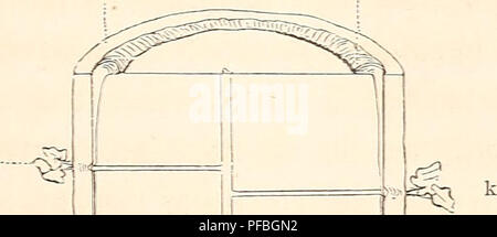 Questa pubblicazione si concentra sull'ecologia e la gestione delle foreste, con particolare attenzione alle specie arboree, alla salute delle foreste e alle pratiche forestali sostenibili. Foto Stock