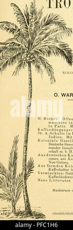. Der Tropenpflanzer; zeitschrift fr tropische landwirtschaft. Piante tropicali; raccolti tropicali. I&GT;^o. S. Februar 1902. DER O. WARBURG, Berlino.. TROPENPFLANZER. ZEITSCHRIFT FUß TROPISCHE LANDWIRTSCHAFT ORGAN DES KOLONIAL-WIRTSCHAFTLICHEN KOMITEES. Egli RAUSGEQEBEN F. WOHLTMANN, liOKN-POPPELSDORK. Inhaltsverzeicbuis. H. Boeken: Öffentliche Prüfung einer deutschen Entfaserungs- maschine in der Französischen Regierungs-Versuchsstation a Parigi. Mit 3 Abbildungen. Kaffeedüngungsversuche in Brasilien. Mit 4 Abbildungen. Il Dott. A. Schulte im Hofe: Tndigokultur und Fabrikation in Britisch- indien. Il MIT e Foto Stock