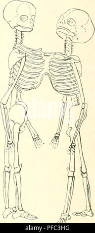 . Der Mensch. Antropologia; Anatomia umana; fisiologia. . Si prega di notare che queste immagini vengono estratte dalla pagina sottoposta a scansione di immagini che possono essere state migliorate digitalmente per la leggibilità - Colorazione e aspetto di queste illustrazioni potrebbero non perfettamente assomigliano al lavoro originale. Ranke, Johannes, 1836-1916. Leipzig, Bibliographisches Institut Foto Stock