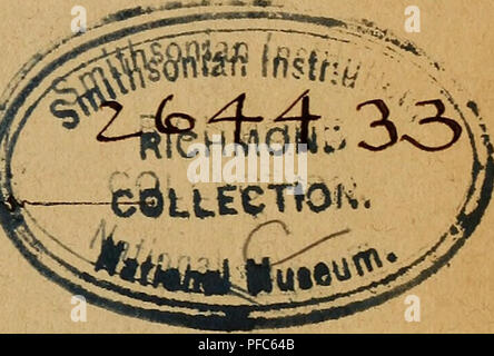 . Der Graupapagei. Senna Naturgeschichte ... Pappagallo grigio africano. Maggio 7.1924 Äagiine&amp;itrg* &lt;£reut$'fcfye Derlagsbucfyfyartblung (SR. &Amp; 2R. Äretfd&amp;manu.) 1896.. Si prega di notare che queste immagini vengono estratte dalla pagina sottoposta a scansione di immagini che possono essere state migliorate digitalmente per la leggibilità - Colorazione e aspetto di queste illustrazioni potrebbero non perfettamente assomigliano al lavoro originale. Russ, Karl, 1833-1899; Richmond, Charles Wallace, 1868-1932 DSI. Magdeburg : Creutz'sche Derlagsbuchhandlung Foto Stock