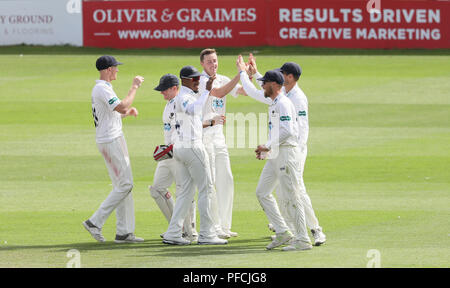 Hove, Regno Unito, 21 agosto 2018 Ollie Robinson di Sussex celebra bowling Matt Critchley del Derbyshire durante la contea Specsavers Divisione del Campionato due match tra Sussex e Derbyshire al primo centro di County Ground, Hove. Credit James Boardman/Alamy Live News Foto Stock