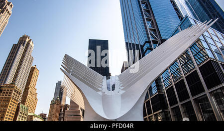 Situato nel complesso del World Trade Center, nell'ambito del Financial District di Manhattan a New York City. L'occhio è una stazione principale su t Foto Stock