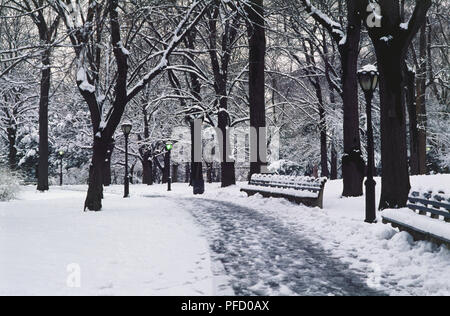 Stati Uniti d'America, la città di New York, Central Park, cancellata sentiero fiancheggiato con panchine e alberi che conduce attraverso un parco innevato. Foto Stock