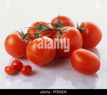 Un assortimento di pomodori rossi, vicino. Foto Stock