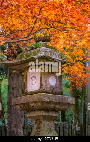 Lanterne di pietra di Kasuga Taisha, Nara, Kansai, Giappone Foto Stock