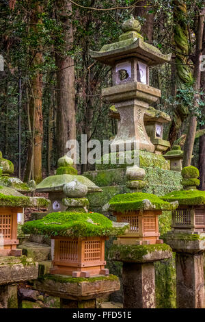 Lanterne di pietra di Kasuga Taisha, Nara, Kansai, Giappone Foto Stock