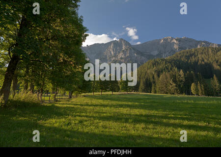 Le montagne e i campi a Ramsau, Austria in estate Foto Stock