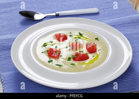 Calda zuppa cremosa purea con salmone affumicato cosparsa di prezzemolo in bianco ampio cerchio della piastra sulla tabella MAT con cucchiaio, facile e veloce la ricetta, vista da abov Foto Stock