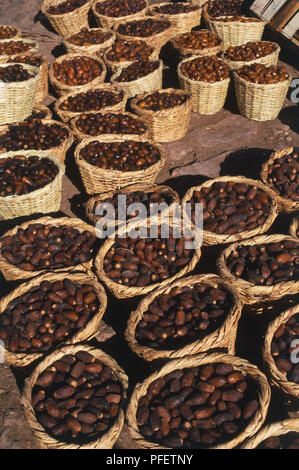 Il Marocco, Ziz Gorge, Phoenix dactylifera, date, esposte per la vendita in grandi cesti di vimini, ad alto angolo di visione. Foto Stock