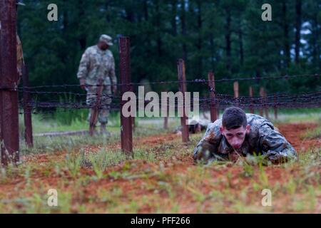 Stati Uniti La riserva di esercito di Spc. Darren Odell, un approvvigionamento di petrolio uno specialista da Carbondale, Illinois, con distacco 3, Charlie Company, 1° Battaglione, 398 Reggimento di Fanteria, 98Training Division (entrata iniziale formazione), formazione 108th comando (IET) esegue un basso strisciare su ostacolo quattro del Fort Bragg Air Assault Scuola ostacolo corso. Toccare il filo spinato con qualsiasi parte del loro corpo durante questo lane risultati nella squalifica, richiedendo il concorrente dovrà essere restituita all'inizio della corsia per riprovare o continuare con una perdita di punti. Trentasei guerrieri di continuare a lottare per TH Foto Stock