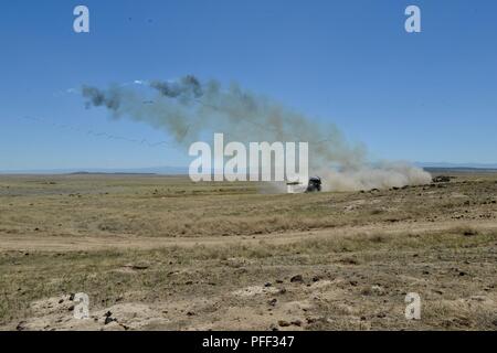 Soldati dell'esercito di Idaho National Guard è ingegnere 116Battaglione e gli Stati Uniti Esercito della riserva 321Battaglione ingegnere ha condotto un live-fire M58 di sminamento carica di linea (MICLIC) gamma Giugno 13, 2018 al The Orchard Combat Training Center, il Boise, Idaho. Ingegnere di entrambe le unità sono il supporto del 116Calvario Brigata combattere del Team esportabili combattere la capacità di formazione di rotazione. Foto Stock