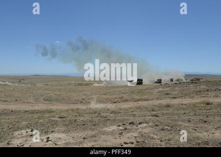 Soldati dell'esercito di Idaho National Guard è ingegnere 116Battaglione e gli Stati Uniti Esercito della riserva 321Battaglione ingegnere ha condotto un live-fire M58 di sminamento carica di linea (MICLIC) gamma Giugno 13, 2018 al The Orchard Combat Training Center, il Boise, Idaho. Ingegnere di entrambe le unità sono il supporto del 116Calvario Brigata combattere del Team esportabili combattere la capacità di formazione di rotazione. Foto Stock