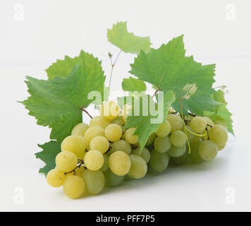 Grappolo di uva bianca sullo stelo con foglie di vite, vicino. Foto Stock