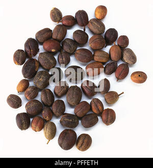 Il caffè non torrefatto Fagioli Foto Stock