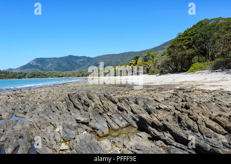 Il pittoresco litorale collinare, con una spiaggia e palme vicino a Port Douglas, estremo Nord Queensland, FNQ, QLD, Australia Foto Stock