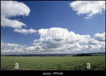 3). Cumulus humilis, soffici nuvole bianche in un cielo blu su campi verdi Foto Stock