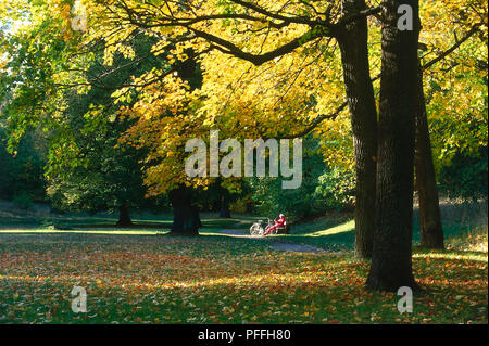 Stoccolma, Svezia, la profusione di colori autunnali e caduta foglie in Hagaparken. In lontananza le persone sono seduti sotto un albero di luce su una panchina nel parco. Foto Stock