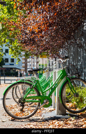 Bike sharing ciclismo dock rack durante l estate in Piacenza, Italia Foto Stock