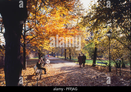 In Polonia, a Cracovia, il Planty, gente seduta sulle panchine e passeggiare lungo il percorso parkland, fiancheggiata da alberi l effusione del loro foglie autunnali. Foto Stock