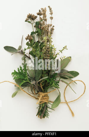 Bouquet garni, compresa la salvia, timo, origano e rosmarino Foto Stock